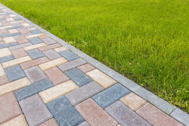 Best Driveway Paving Contractor  in Shasta Lake, CA